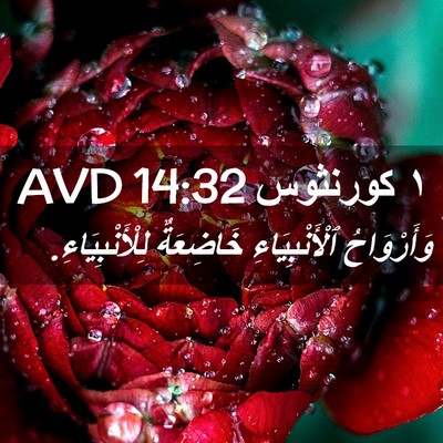 Picture 02 - ١ كورنثوس 14:32 AVD - وَأَرْوَاحُ - Bible Verse Picture