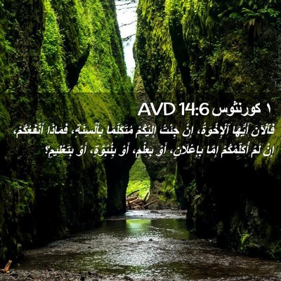 Picture 02 - ١ كورنثوس 14:6 AVD - فَٱلْآنَ أَيُّهَا - Bible Verse Picture