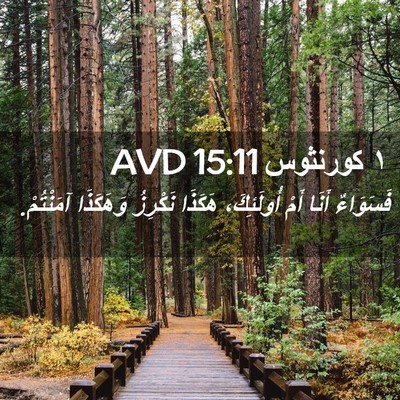 Picture 02 - ١ كورنثوس 15:11 AVD - فَسَوَاءٌ أَنَا أَمْ - Bible Verse Picture