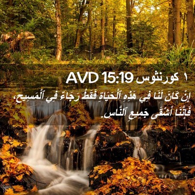 Picture 02 - ١ كورنثوس 15:19 AVD - إِنْ كَانَ لَنَا فِي - Bible Verse Picture