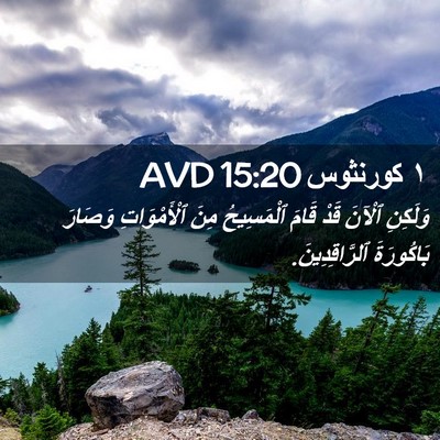 Picture 02 - ١ كورنثوس 15:20 AVD - وَلَكِنِ ٱلْآنَ قَدْ قَامَ - Bible Verse Picture