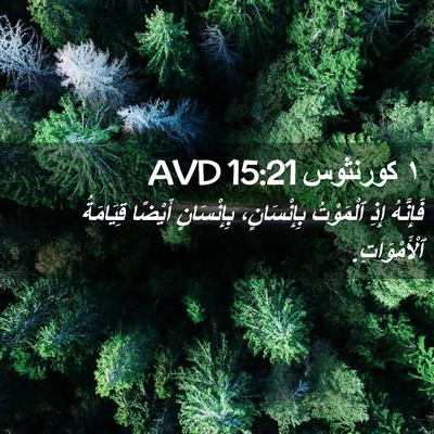 Picture 02 - ١ كورنثوس 15:21 AVD - فَإِنَّهُ إِذِ ٱلْمَوْتُ - Bible Verse Picture