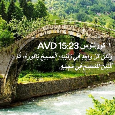 Picture 02 - ١ كورنثوس 15:23 AVD - وَلَكِنَّ كُلَّ وَاحِدٍ - Bible Verse Picture