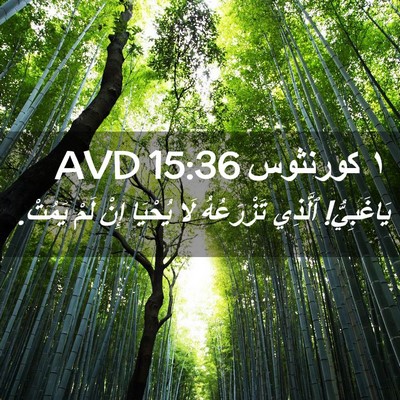 Picture 02 - ١ كورنثوس 15:36 AVD - يَاغَبِيُّ! ٱلَّذِي - Bible Verse Picture