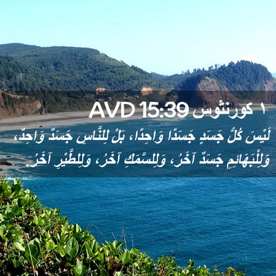 Picture 02 - ١ كورنثوس 15:39 AVD - لَيْسَ كُلُّ جَسَدٍ - Bible Verse Picture