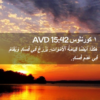 Picture 02 - ١ كورنثوس 15:42 AVD - هَكَذَا أَيْضًا قِيَامَةُ - Bible Verse Picture