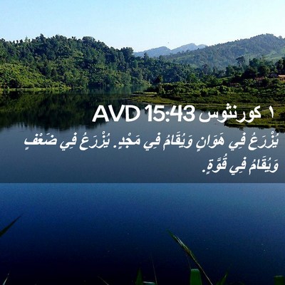 Picture 02 - ١ كورنثوس 15:43 AVD - يُزْرَعُ فِي هَوَانٍ - Bible Verse Picture