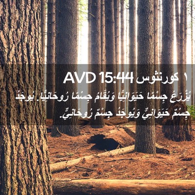 Picture 02 - ١ كورنثوس 15:44 AVD - يُزْرَعُ جِسْمًا - Bible Verse Picture