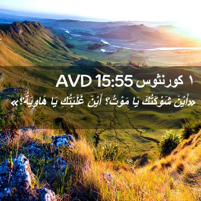 Picture 02 - ١ كورنثوس 15:55 AVD - «أَيْنَ شَوْكَتُكَ يَا - Bible Verse Picture