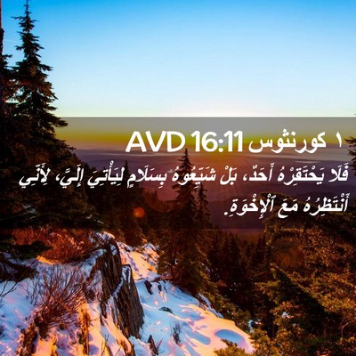 Picture 02 - ١ كورنثوس 16:11 AVD - فَلَا يَحْتَقِرْهُ - Bible Verse Picture