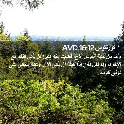 Picture 02 - ١ كورنثوس 16:12 AVD - وَأَمَّا مِنْ جِهَةِ - Bible Verse Picture