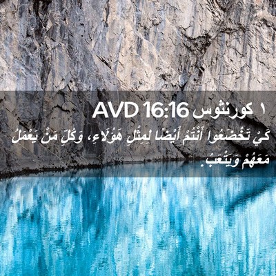 Picture 02 - ١ كورنثوس 16:16 AVD - كَيْ تَخْضَعُوا أَنْتُمْ - Bible Verse Picture