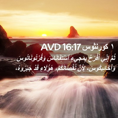 Picture 02 - ١ كورنثوس 16:17 AVD - ثُمَّ إِنِّي أَفْرَحُ - Bible Verse Picture