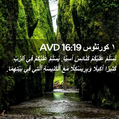 Picture 02 - ١ كورنثوس 16:19 AVD - تُسَلِّمُ عَلَيْكُمْ - Bible Verse Picture