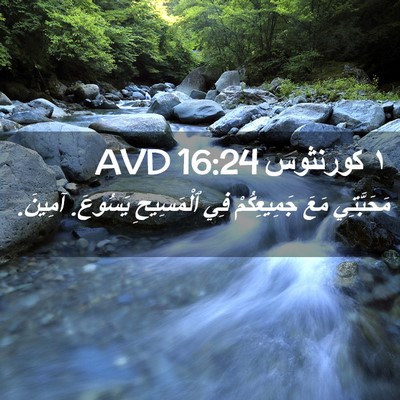 Picture 02 - ١ كورنثوس 16:24 AVD - مَحَبَّتِي مَعَ - Bible Verse Picture