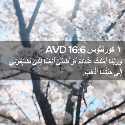 Picture 02 - ١ كورنثوس 16:6 AVD - وَرُبَّمَا أَمْكُثُ - Bible Verse Picture