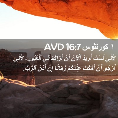 Picture 02 - ١ كورنثوس 16:7 AVD - لِأَنِّي لَسْتُ أُرِيدُ - Bible Verse Picture
