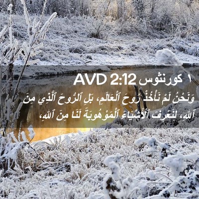 Picture 02 - ١ كورنثوس 2:12 AVD - وَنَحْنُ لَمْ نَأْخُذْ - Bible Verse Picture