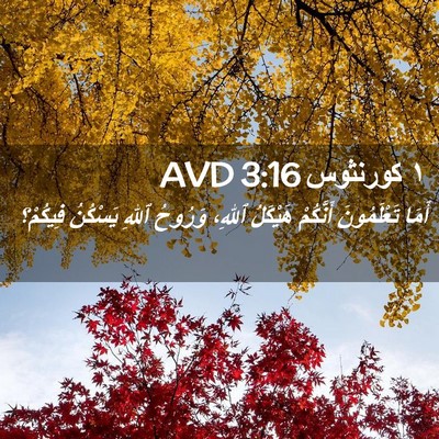 Picture 02 - ١ كورنثوس 3:16 AVD - أَمَا تَعْلَمُونَ - Bible Verse Picture