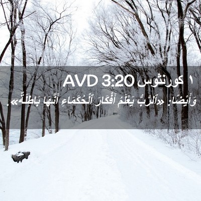 Picture 02 - ١ كورنثوس 3:20 AVD - وَأَيْضًا: «ٱلرَّبُّ - Bible Verse Picture