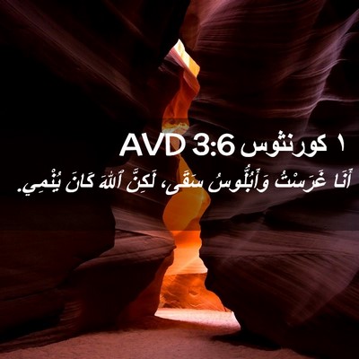 Picture 02 - ١ كورنثوس 3:6 AVD - أَنَا غَرَسْتُ - Bible Verse Picture