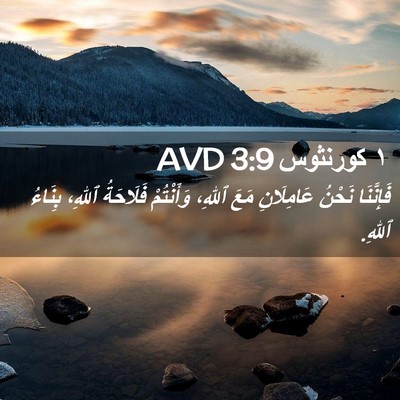 Picture 02 - ١ كورنثوس 3:9 AVD - فَإِنَّنَا نَحْنُ - Bible Verse Picture