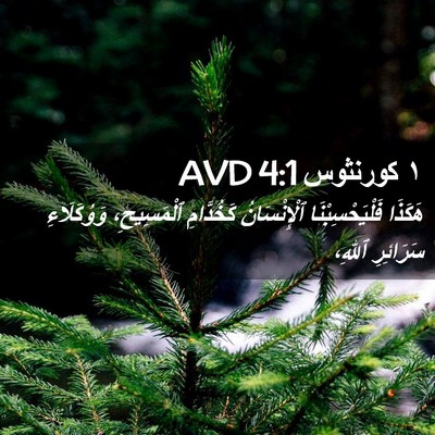 Picture 02 - ١ كورنثوس 4:1 AVD - هَكَذَا فَلْيَحْسِبْنَا - Bible Verse Picture