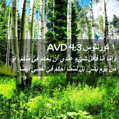Picture 02 - ١ كورنثوس 4:3 AVD - وَأَمَّا أَنَا فَأَقَلُّ - Bible Verse Picture