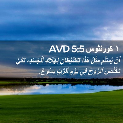 Picture 02 - ١ كورنثوس 5:5 AVD - أَنْ يُسَلَّمَ مِثْلُ - Bible Verse Picture
