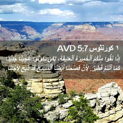 Picture 02 - ١ كورنثوس 5:7 AVD - إِذًا نَقُّوا مِنْكُمُ - Bible Verse Picture