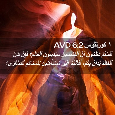 Picture 02 - ١ كورنثوس 6:2 AVD - أَلَسْتُمْ تَعْلَمُونَ - Bible Verse Picture