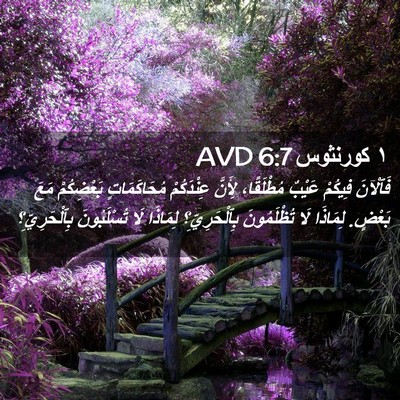 Picture 02 - ١ كورنثوس 6:7 AVD - فَٱلْآنَ فِيكُمْ عَيْبٌ - Bible Verse Picture