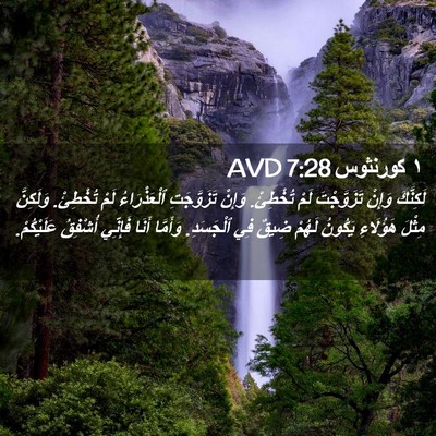 Picture 02 - ١ كورنثوس 7:28 AVD - لَكِنَّكَ وَإِنْ - Bible Verse Picture