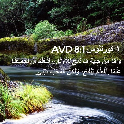 Picture 02 - ١ كورنثوس 8:1 AVD - وَأَمَّا مِنْ جِهَةِ مَا - Bible Verse Picture