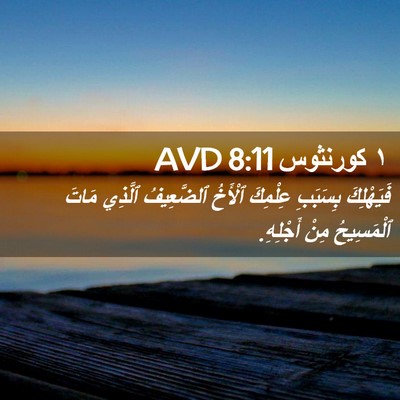 Picture 02 - ١ كورنثوس 8:11 AVD - فَيَهْلِكَ بِسَبَبِ - Bible Verse Picture