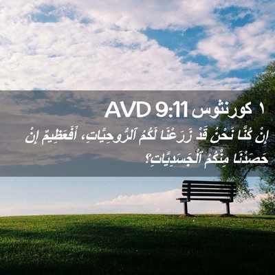 Picture 02 - ١ كورنثوس 9:11 AVD - إِنْ كُنَّا نَحْنُ قَدْ - Bible Verse Picture