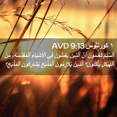 Picture 02 - ١ كورنثوس 9:13 AVD - أَلَسْتُمْ تَعْلَمُونَ - Bible Verse Picture