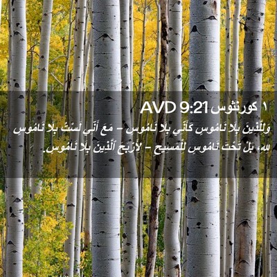 Picture 02 - ١ كورنثوس 9:21 AVD - وَلِلَّذِينَ بِلَا - Bible Verse Picture