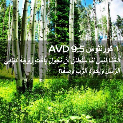 Picture 02 - ١ كورنثوس 9:5 AVD - أَلَعَلَّنَا لَيْسَ لَنَا - Bible Verse Picture