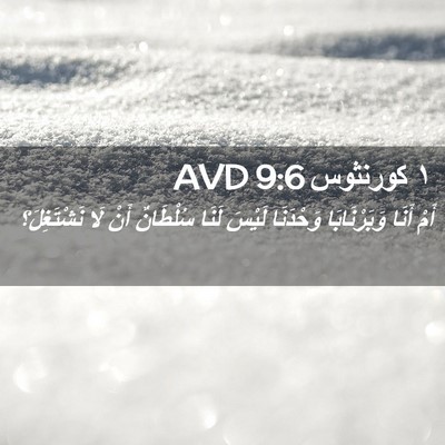 Picture 02 - ١ كورنثوس 9:6 AVD - أَمْ أَنَا وَبَرْنَابَا - Bible Verse Picture