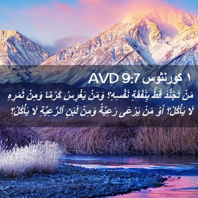 Picture 02 - ١ كورنثوس 9:7 AVD - مَنْ تَجَنَّدَ قَطُّ - Bible Verse Picture