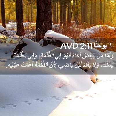 Picture 02 - ١ يوحنَّا 2:11 AVD - وَأَمَّا مَنْ يُبْغِضُ - Bible Verse Picture