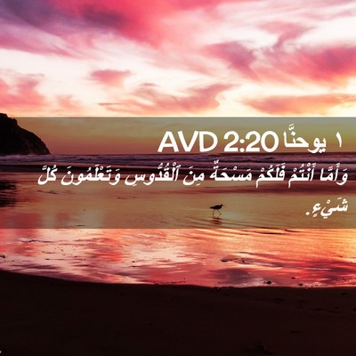 Picture 02 - ١ يوحنَّا 2:20 AVD - وَأَمَّا أَنْتُمْ - Bible Verse Picture