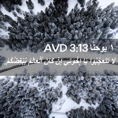 Picture 02 - ١ يوحنَّا 3:13 AVD - لَا تَتَعَجَّبُوا يَا - Bible Verse Picture
