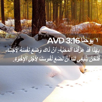 Picture 02 - ١ يوحنَّا 3:16 AVD - بِهَذَا قَدْ عَرَفْنَا - Bible Verse Picture