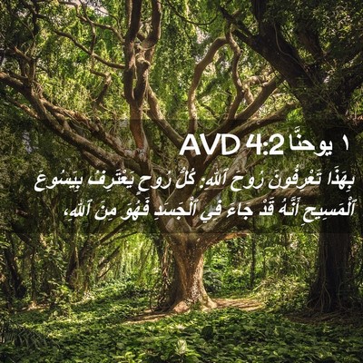 Picture 02 - ١ يوحنَّا 4:2 AVD - بِهَذَا تَعْرِفُونَ رُوحَ - Bible Verse Picture