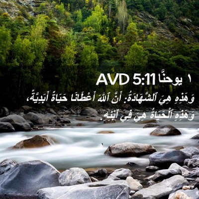 Picture 02 - ١ يوحنَّا 5:11 AVD - وَهَذِهِ هِيَ - Bible Verse Picture
