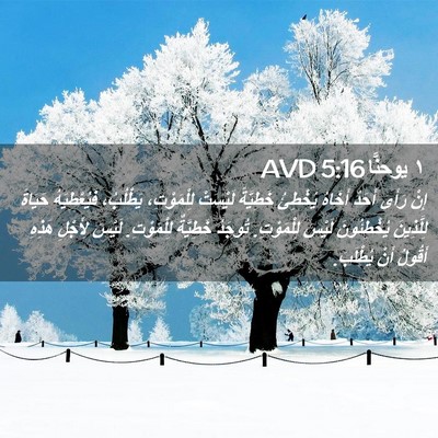 Picture 02 - ١ يوحنَّا 5:16 AVD - إِنْ رَأَى أَحَدٌ أَخَاهُ - Bible Verse Picture