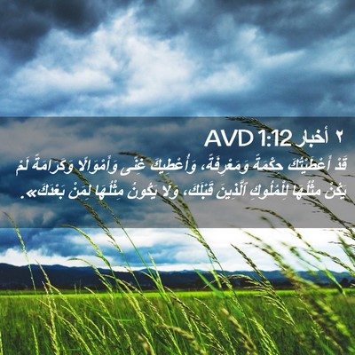 Picture 02 - ٢ أخبار 1:12 AVD - قَدْ أَعْطَيْتُكَ - Bible Verse Picture