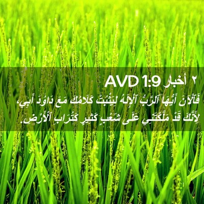 Picture 02 - ٢ أخبار 1:9 AVD - فَٱلْآنَ أَيُّهَا - Bible Verse Picture